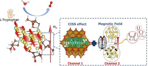 Dual-Channel Regulation of Spin Polarization Achieves 1 + 1 > 2 Electrocatalytic Performance in Spinel Ferrites