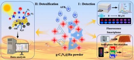 Bifunction g-C3N4@[Ru(byp)3]2+ and its electrospun nanofibers for smartphone-integrated fluorescence detection of aflatoxin B1 in peanut oil and photocatalytic detoxification