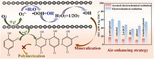 Activation of O2 within confined ultramicropores of carbon electrocatalyst for enhanced electrochemical oxidation of water contaminants