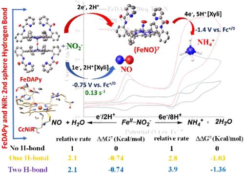 Second-Sphere Interaction Allows Selective Reduction of Nitrite to NO or Ammonia by Synthetic Iron Porphyrins