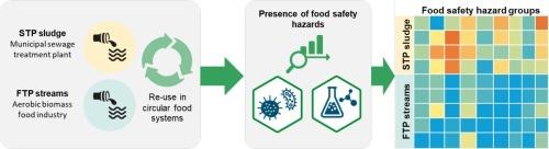 Towards circular food production systems: Identification of chemical, microbial, and physical food safety hazards in municipal sludge and excess aerobic biomass of the food industry
