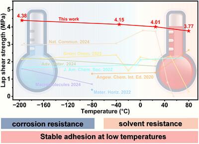 Dynamically Crosslinking Bio-Inspired Adhesives with High Bond Strength and Multi-Environmental Adaptability for Ultra-Low Temperature Adhesion