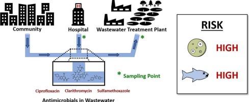Assessing the risk of antimicrobial resistance and potential environmental harm through national-scale surveillance of antimicrobials in hospital and community wastewater