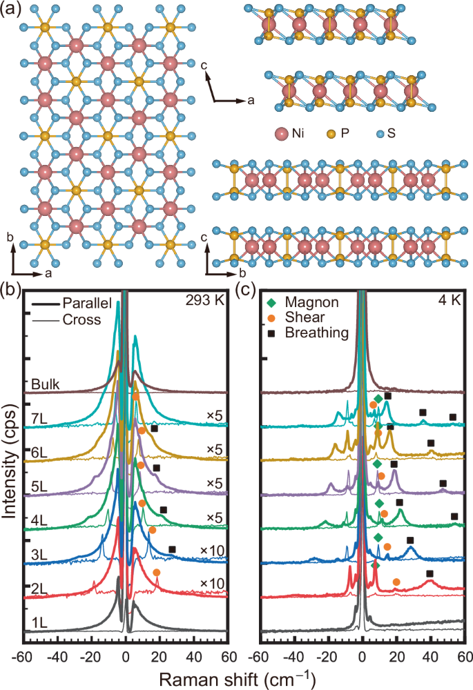 Interlayer interaction and Davydov splitting in antiferromagnetic few-layer NiPS3