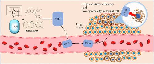 Glycoluril Polymers for Codelivery in Solid Tumor Therapy
