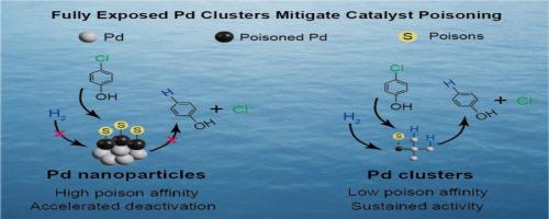 Fully exposed palladium clusters mitigate catalyst poisoning during water contaminant reduction