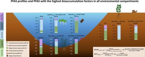 Strong bioaccumulation of a wide variety of PFAS in a contaminated terrestrial and aquatic ecosystem