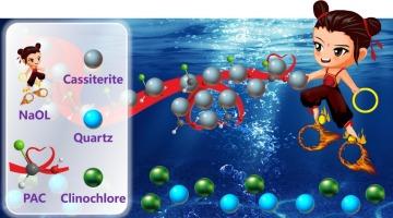 Application of poly aluminum chloride in cassiterite flocculation flotation