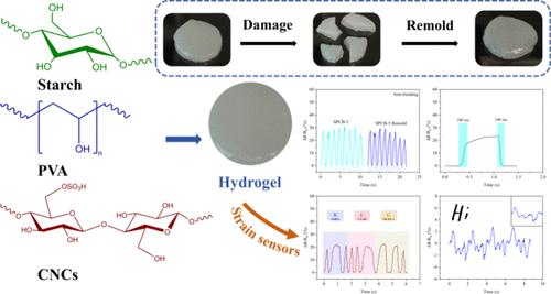Self-Healing, Remoldable, and Conductive Starch-Based Dual Reversible Cross-Linking Hydrogels for Strain Sensors