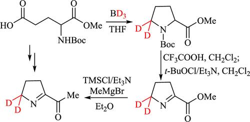 Straightforward Synthesis of [2H2]-2-Acetyl-1-pyrroline Starting from α-Methyl N-Boc-l-Glutamate