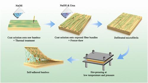 Self-Adhered Bamboo via Fiber Defibration and Lignin Reconstitution in the Subsurface Layer: Mechanistic Insights into Continuous Interface Formation under Mild Conditions and Sustainable Applications