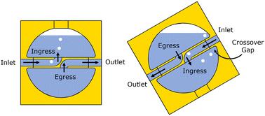 Orientation-independent bubble trap with internal partition for robust operation of microfluidic systems†