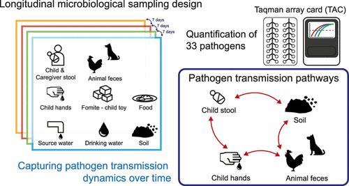 Zoonotic and Environmental Sources of Infant Enteric Pathogen Infections Identified with Longitudinal Sampling