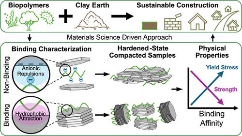 Physicochemical Interactions of Clays and Polysaccharides for High-Performance Biopolymer-Stabilized Earthen Materials