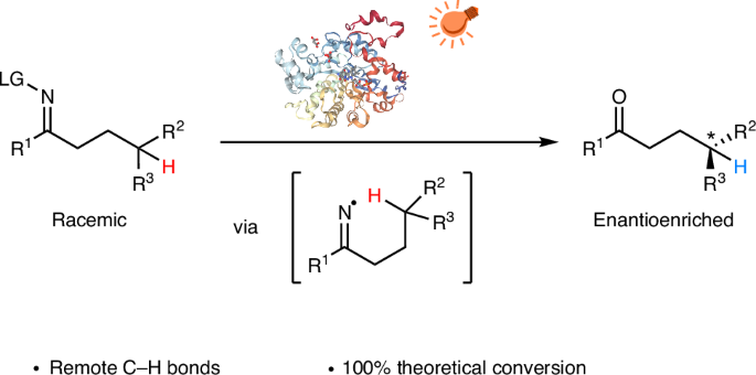 Photoenzymatic stereoablative enantioconvergence of γ-chiral oximes via hydrogen atom transfer