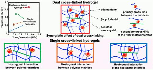 Synergistic Reinforcement of Composite Hydrogels via Dual Cross-Linking and Supramolecular Filler