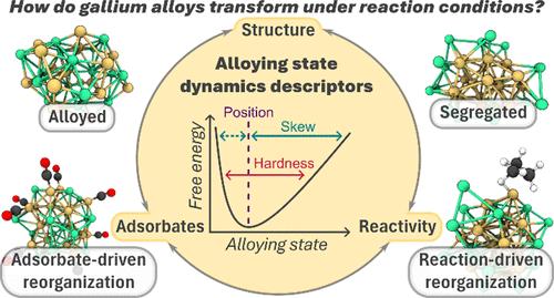Alloy Reorganization and Dynamics in Group-10-Metal–Gallium Nanoparticles under Reactive Atmospheres: Impact on Local Environment and Reactivity