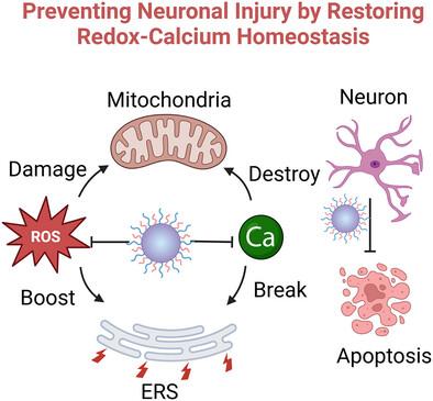 Biosponge-Armored Nanodots Restore Redox-Calcium Homeostasis to Mitigate Reperfusion-Induced Injury in Ischemic Stroke