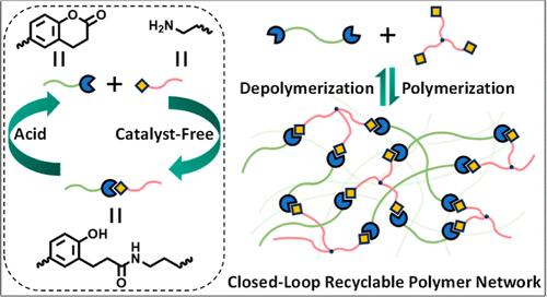 Closed-Loop Chemical Recycling of Polyamide Thermosets via Reversible Amidation