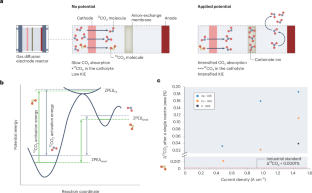 Complex behaviour of isotopes in CO2 electroreduction
