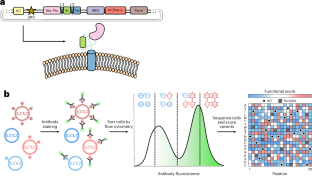 A generalizable multiplexed assay of variant effects for secreted proteins