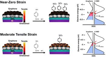 Electrochemical reactivity of graphene under mechanical strain†