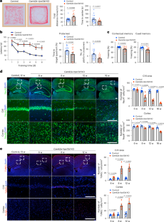 Microglia promote inflammatory cell death upon neuronal mitochondrial impairment during neurodegeneration