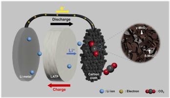Stable, Hierarchical MWCNT/δ&γ-MnO2 Composite Cathode for High-Performance Solid-State Li–CO2 Batteries