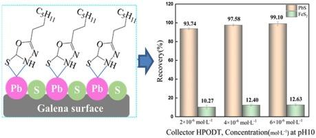 Selective flotation of galena from pyrite utilizing 5-heptyl-1,3,4-oxadiazole-2-thione under medium alkaline conditions