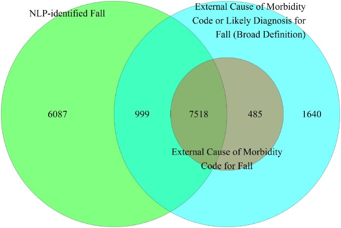 Evaluation of falls detected by natural language processing algorithm and not coded external cause of morbidity.