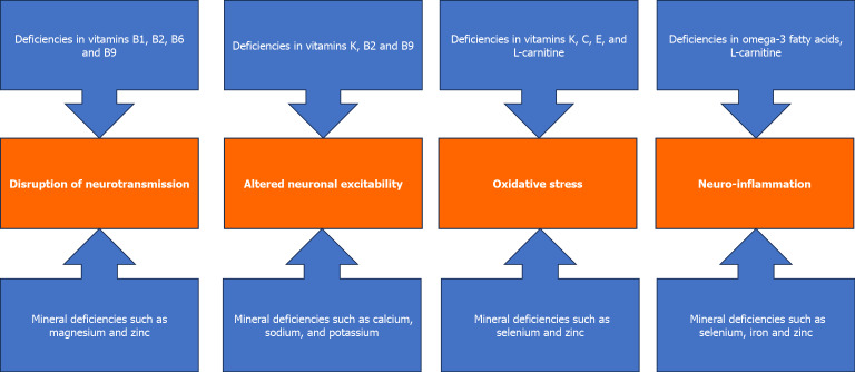 Unraveling the nutritional challenges in epilepsy: Risks, deficiencies, and management strategies: A systematic review.