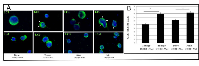 Autophagy is influenced by vitamin D<sub>3</sub> level in people with HIV-1.