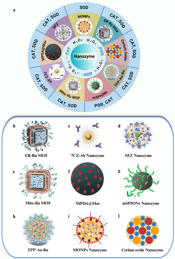 Nanozymes in neuropathic pain: strategies bridging oxidative stress, mitochondrial repair, and neuroimmune modulation for targeted therapy.