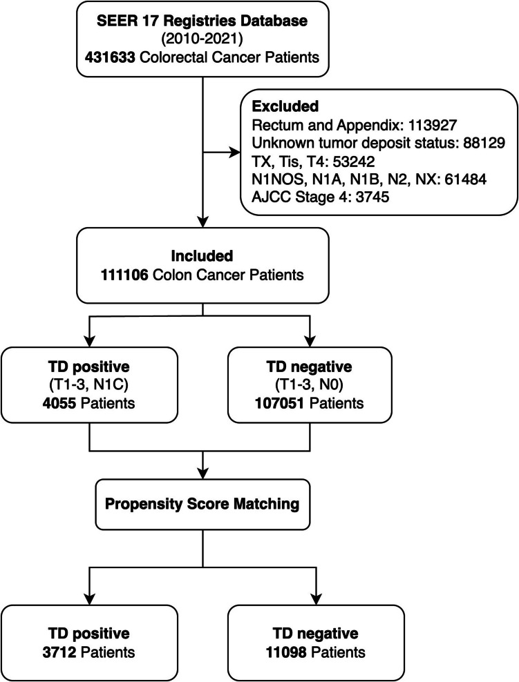 Prognostic impact and independent significance of tumor deposits in early-stage colon cancer: a population-based cohort study.