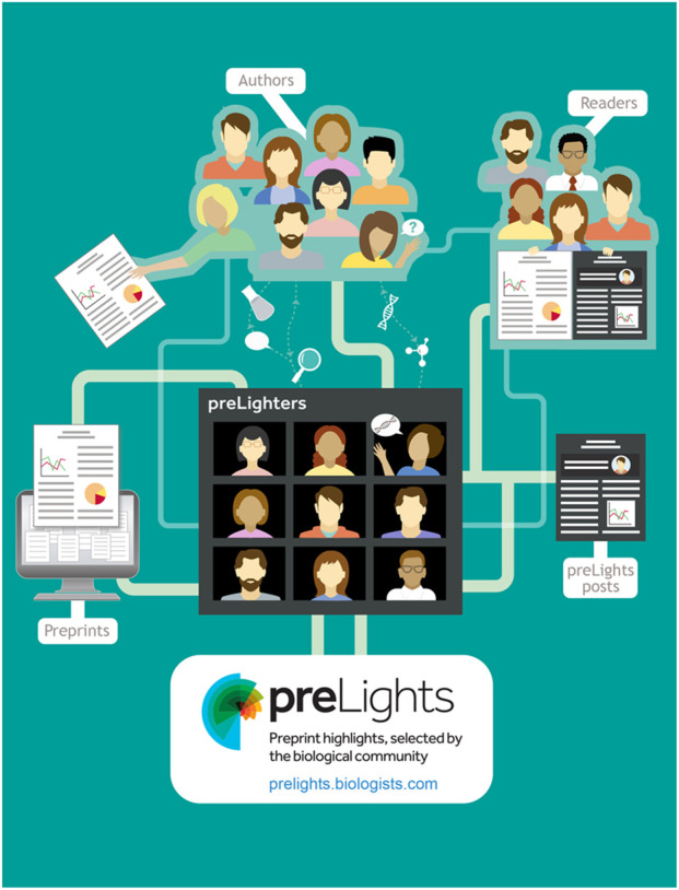 Staying ahead of the curve: a decade of preprints in biology.
