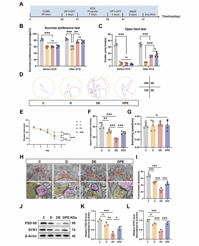 Propofol Modulates Microglial Glucose Metabolism Via the AMPK/HIF-1α Signaling Pathway To Ameliorate ECS-induced Cognitive Deficits in Depressive-like Rats