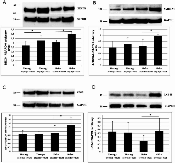 Autophagy is influenced by vitamin D<sub>3</sub> level in people with HIV-1.