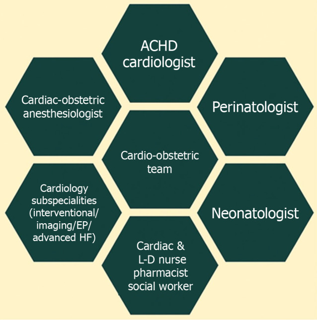 Navigating women with congenital heart disease during pregnancy: Management strategies and future directions.