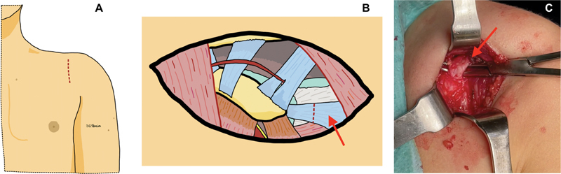 Abstract Image