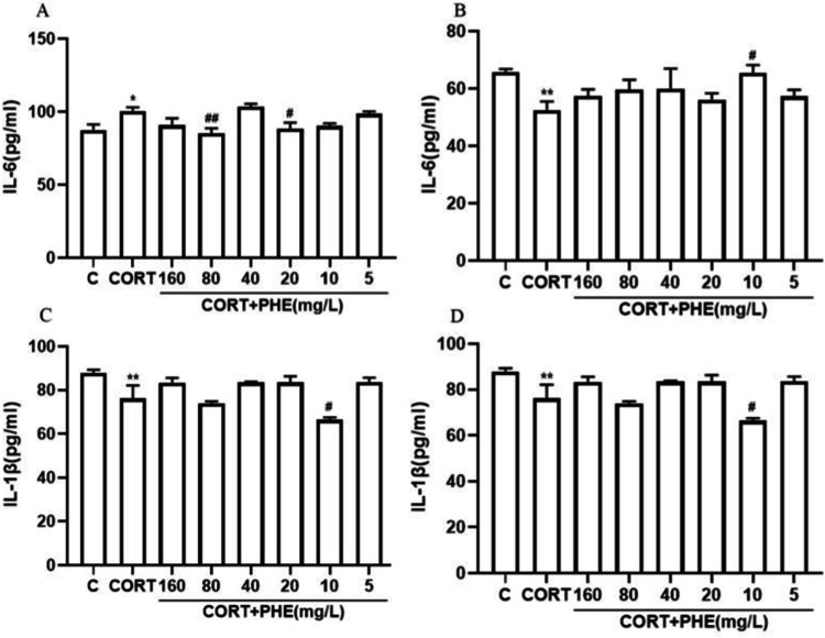Correction: Network pharmacology combined with experimental verification for exploring the potential mechanism of phellodendrine against depression.
