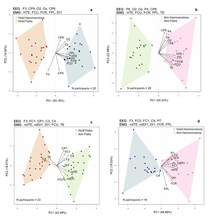 Integrating EEG and EMG data: a novel statistical pipeline for investigating brain-muscle interaction in experimental neuroarchaeology.