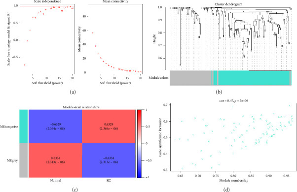 Screening and Identification of Basement Membrane-Related Gene Signatures for Diagnosis in Keratoconus Through WGCNA and Machine Learning.