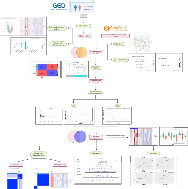 Screening and Identification of Basement Membrane-Related Gene Signatures for Diagnosis in Keratoconus Through WGCNA and Machine Learning.