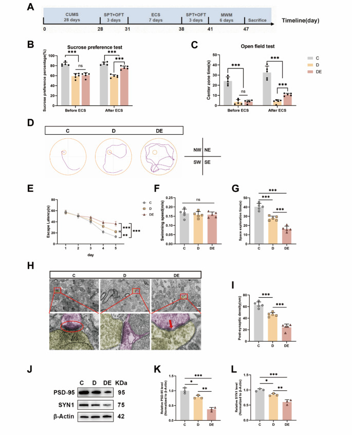 Propofol Modulates Microglial Glucose Metabolism Via the AMPK/HIF-1α Signaling Pathway To Ameliorate ECS-induced Cognitive Deficits in Depressive-like Rats