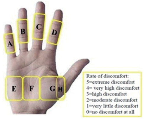 Ergonomic Criteria and Usability Testing of Cut-Resistant Protective Gloves: An Experimental Study.