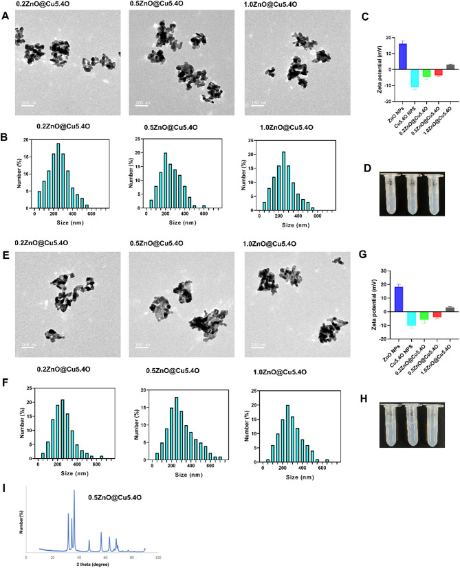 0.5ZnO@Cu5.4O nanoparticle for regulates the expression of GSDMB and targeted therapy of tumor.