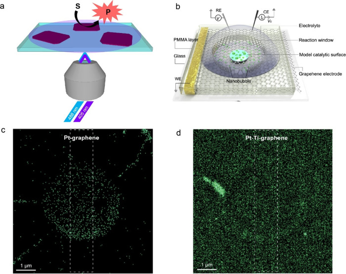 Super-Resolution Fluorescence Imaging of Nanobubbles Provides New Insights in Electrocatalysis