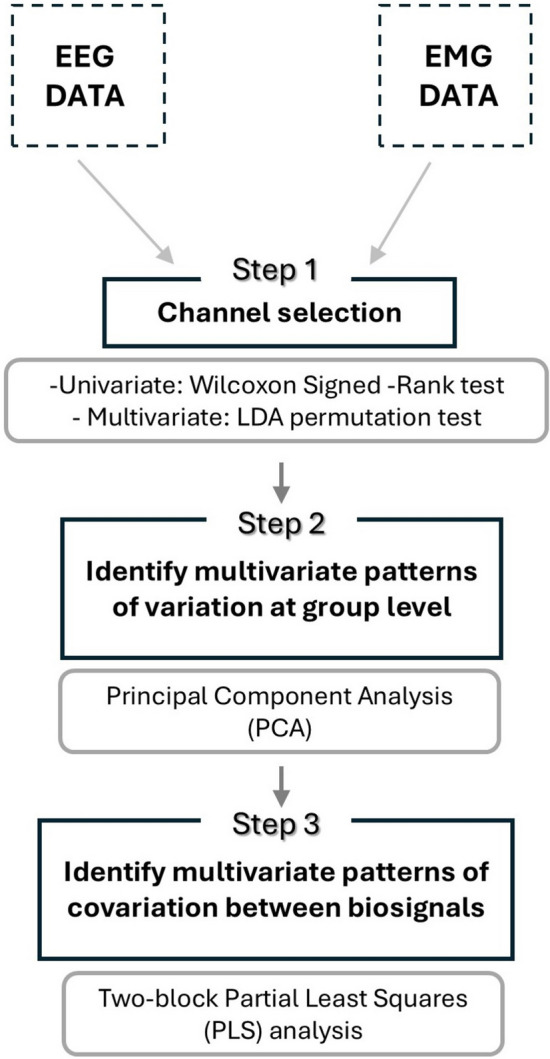 Integrating EEG and EMG data: a novel statistical pipeline for investigating brain-muscle interaction in experimental neuroarchaeology.