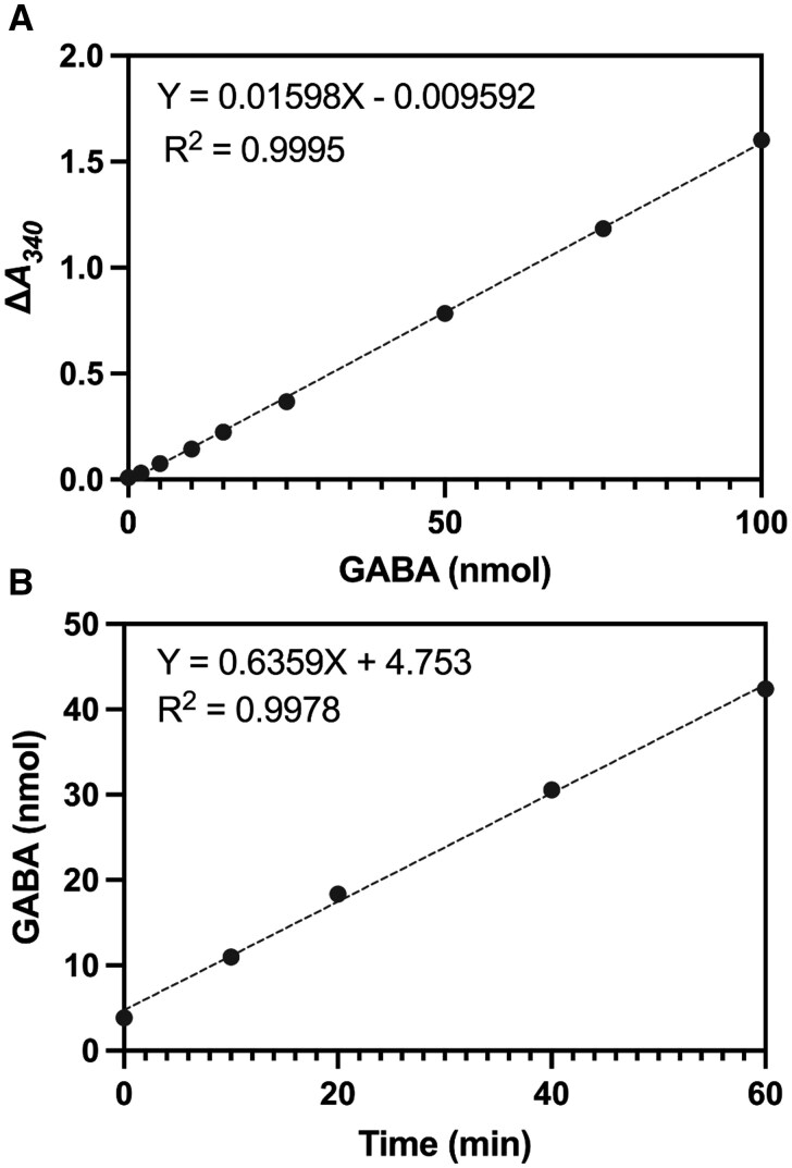 Cost-effective production of <i>Escherichia coli</i> "GABase" for spectrophotometric determination of γ-aminobutyrate (GABA) levels or glutamate decarboxylase activity.