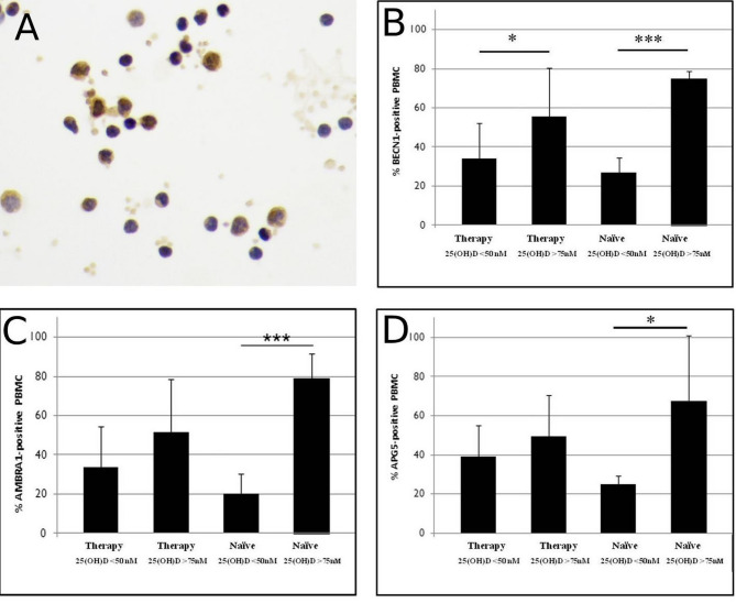 Autophagy is influenced by vitamin D<sub>3</sub> level in people with HIV-1.